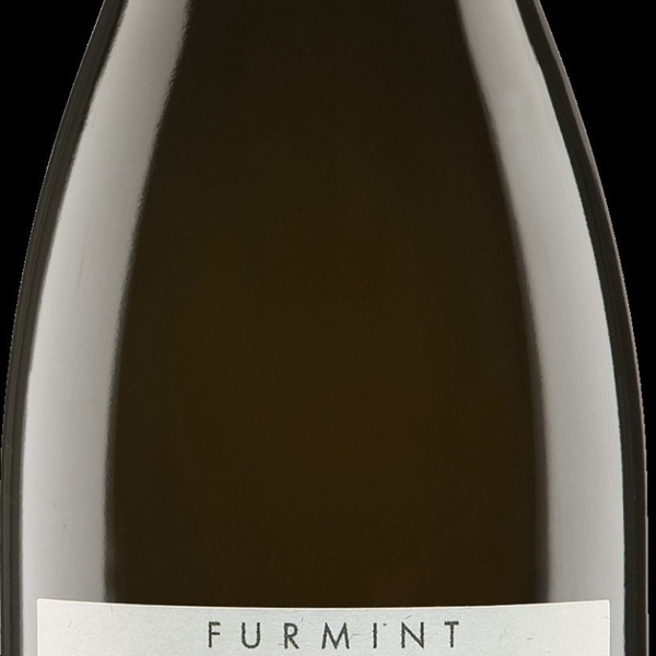 plp_product_/wine/weingut-judith-beck-furmint-bambule-2021