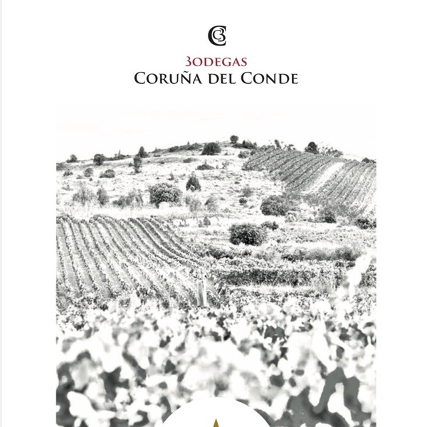 plp_product_/wine/bodegas-coruna-del-conde-alto-otero-2019-red