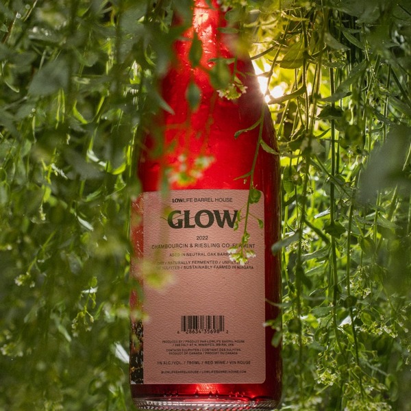 plp_product_/wine/low-life-barrelhouse-glow-2022