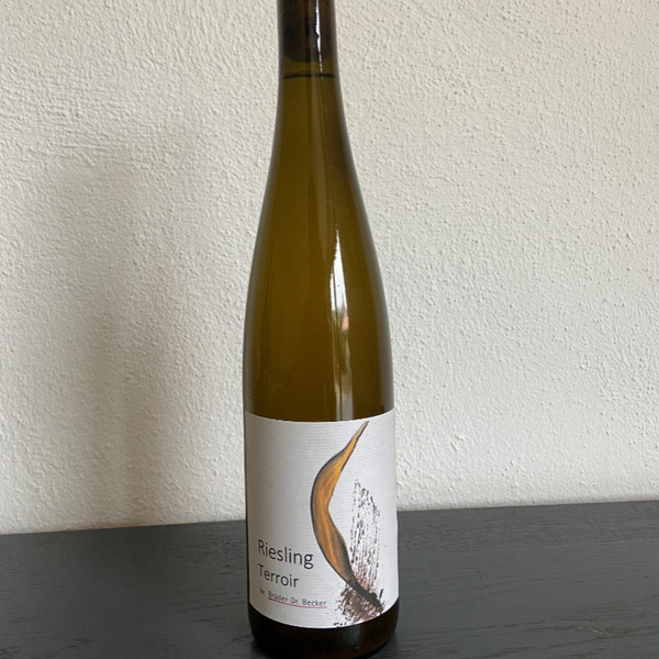 plp_product_/wine/weingut-bruder-dr-becker-riesling-terroir-2022