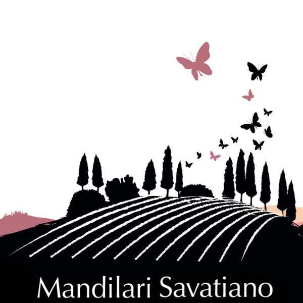 plp_product_/wine/georgas-family-mandilari-savatiano-black-label