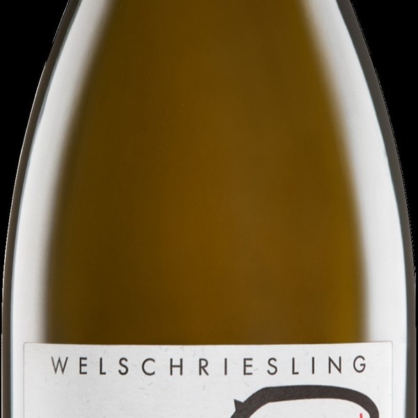 plp_product_/wine/weingut-judith-beck-welschriesling-bambule-2022-white