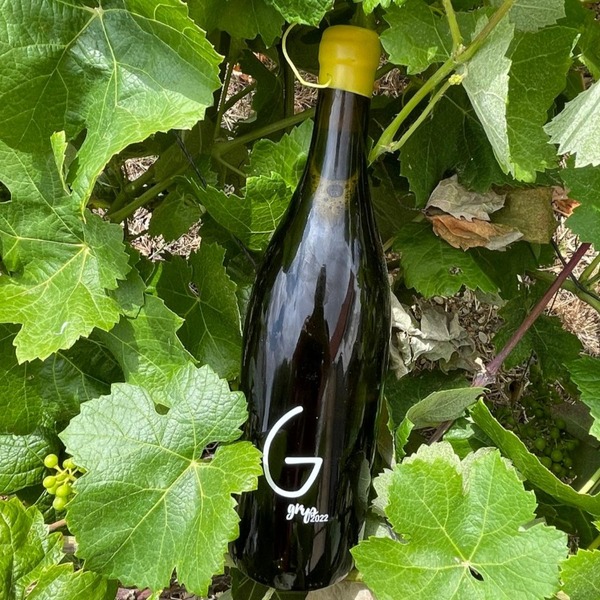 plp_product_/wine/bodegas-gratias-familia-y-vinedos-grys-by-gratias-2023