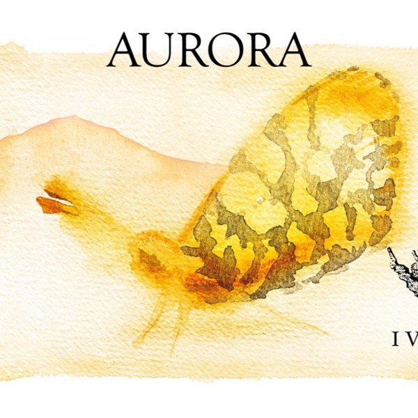 plp_product_/wine/i-vigneri-aurora-2022