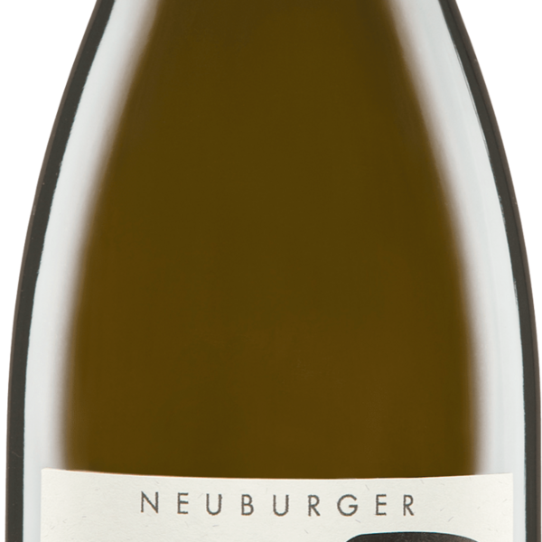 plp_product_/wine/weingut-judith-beck-neuburger-bambule-2021