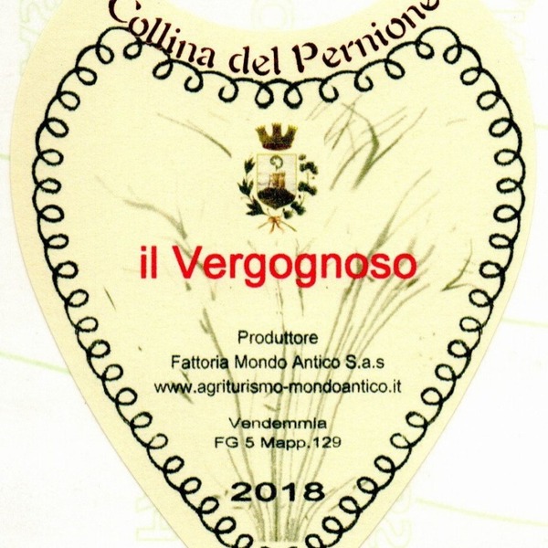 plp_product_/wine/fattoria-mondo-antico-il-vergognoso-2019