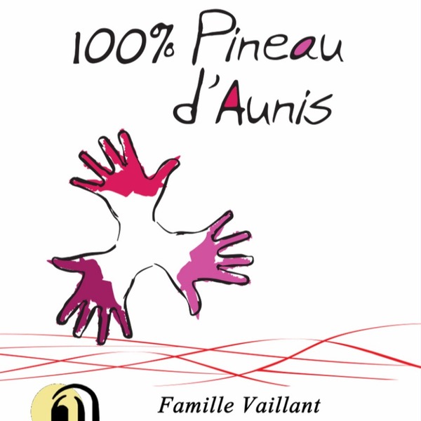 plp_product_/wine/domaine-les-grandes-vignes-100-pineau-d-aunis-2022