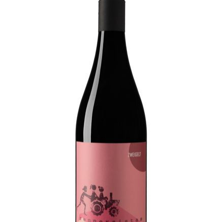 plp_product_/wine/renner-rennersistas-zweigelt-2022