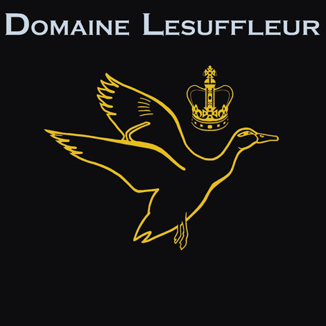 plp_product_/wine/domaine-lesuffleur-cerqeux