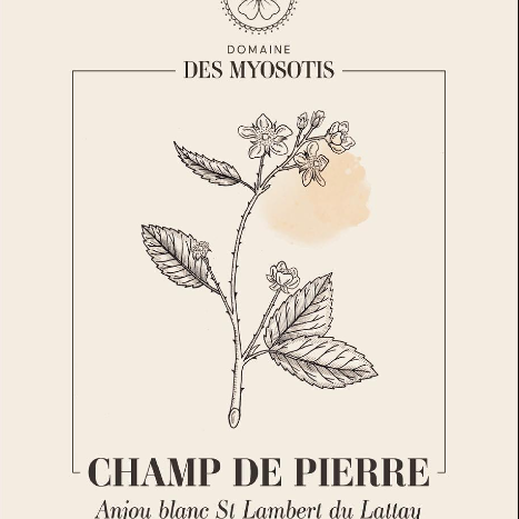 plp_product_/wine/domaine-des-myosotis-champ-de-pierre-2023