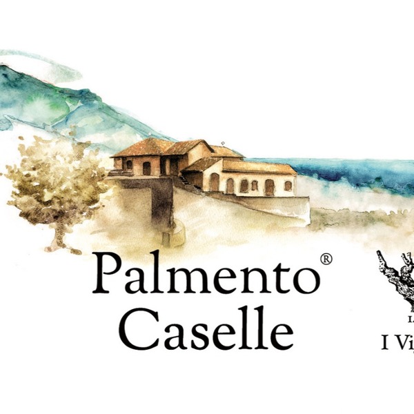 plp_product_/wine/i-vigneri-palmento-caselle-2020