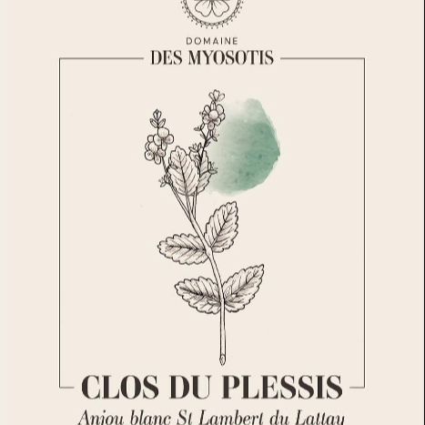 plp_product_/wine/domaine-des-myosotis-clos-du-plessis-2022
