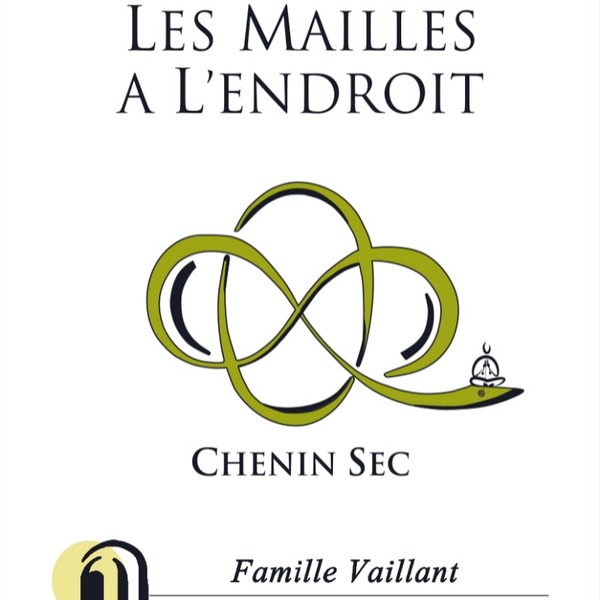 plp_product_/wine/domaine-les-grandes-vignes-les-mailles-a-l-endroit-2021