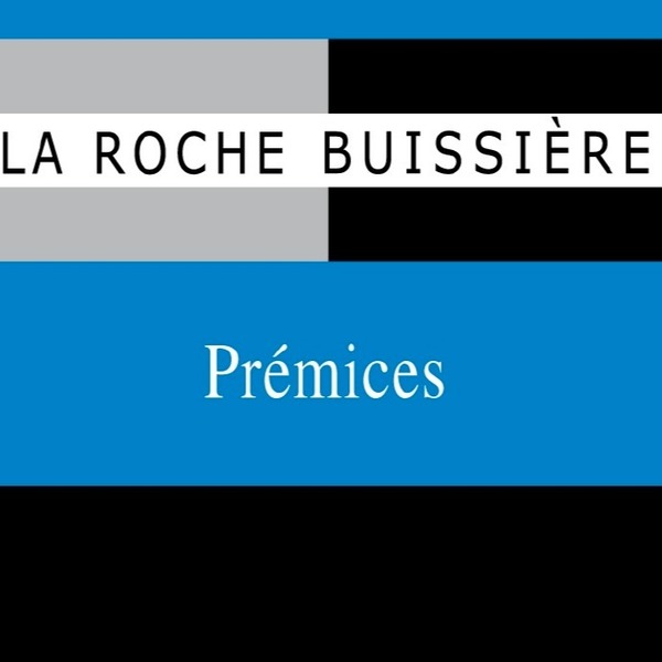 plp_product_/wine/domaine-la-roche-buissiere-premices-2017