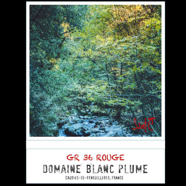 plp_product_/wine/domaine-blanc-plume-gr-36-rouge-2022-red