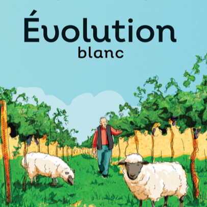 plp_product_/wine/vignoble-de-la-bauge-evolution-blanc