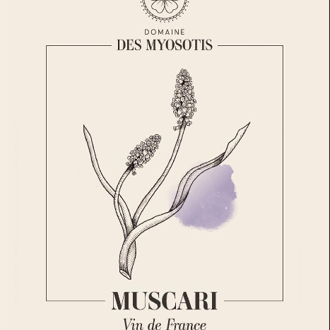 plp_product_/wine/domaine-des-myosotis-muscari-2023