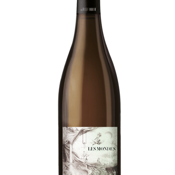 plp_product_/wine/le-fief-noir-domaine-des-chesnaies-les-mondes-2022