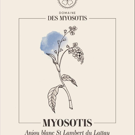 plp_product_/wine/domaine-des-myosotis-myosotis-2022