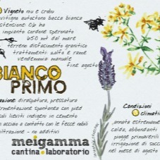 plp_product_/wine/meigamma-meigamma-bianco-primo