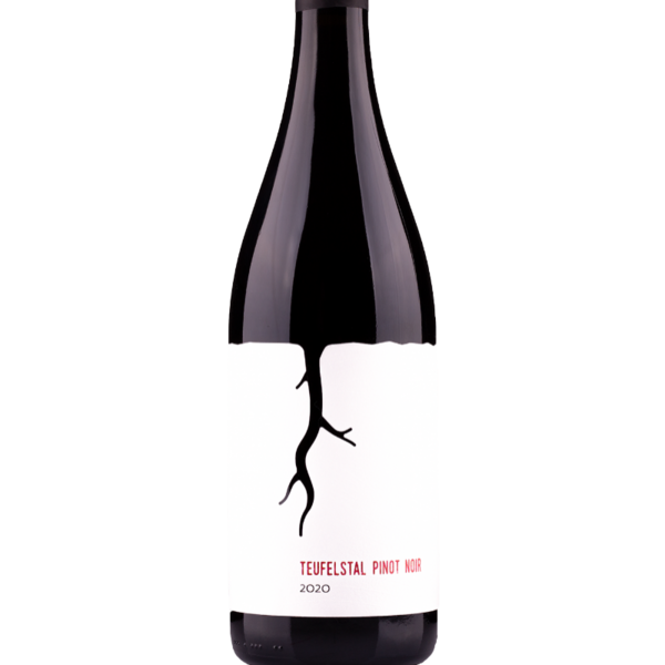 plp_product_/wine/magula-family-winery-teufelstal-pinot-noir-2020