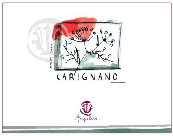 plp_product_/wine/ampeleia-carignano-2019