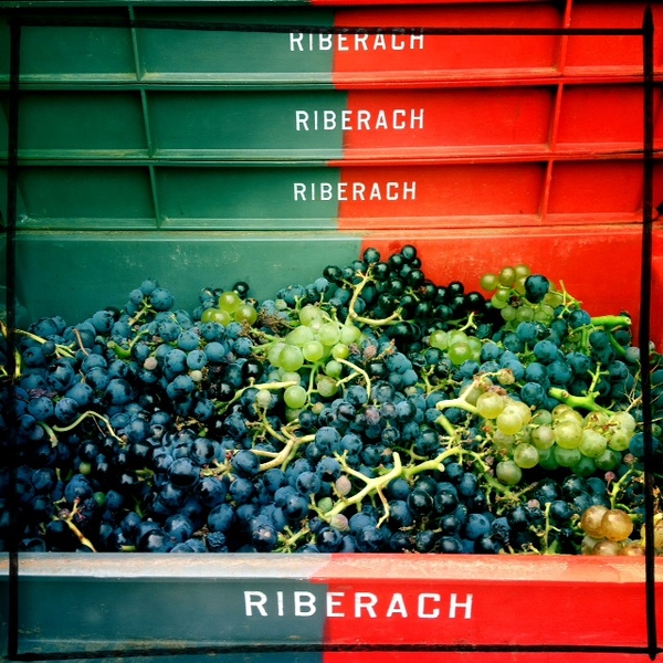 plp_product_/profile/riberach