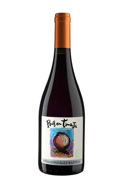 plp_product_/wine/vina-gonzalez-bastias-pais-en-tinaja-2020