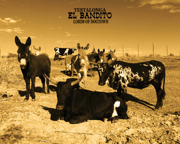 plp_product_/wine/testalonga-el-bandito-lords-of-dogtown-2020