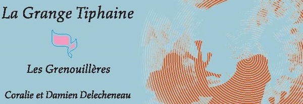 plp_product_/wine/domaine-la-grange-tiphaine-les-grenouilleres-2018