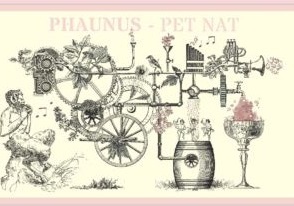 plp_product_/wine/aphros-phaunus-pet-nat-rose-2020