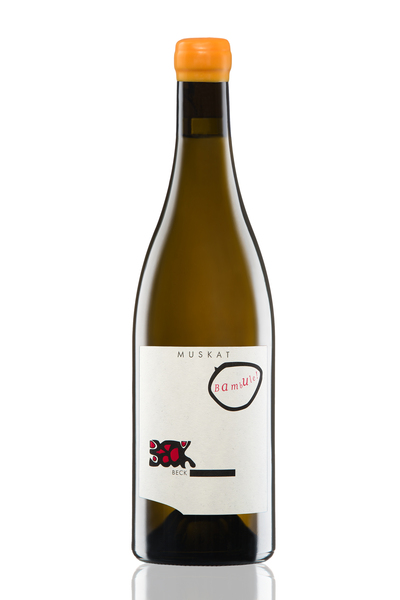 plp_product_/wine/weingut-judith-beck-muskat-bambule-2022