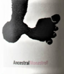 plp_product_/wine/cal-tiques-ancestral-monastrell-2019