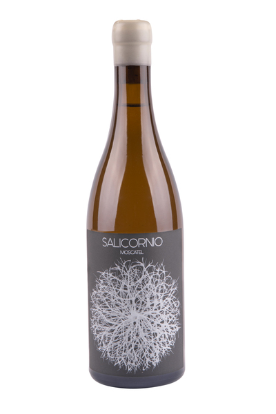 plp_product_/wine/casa-balaguer-salicornio-moscatel-2021