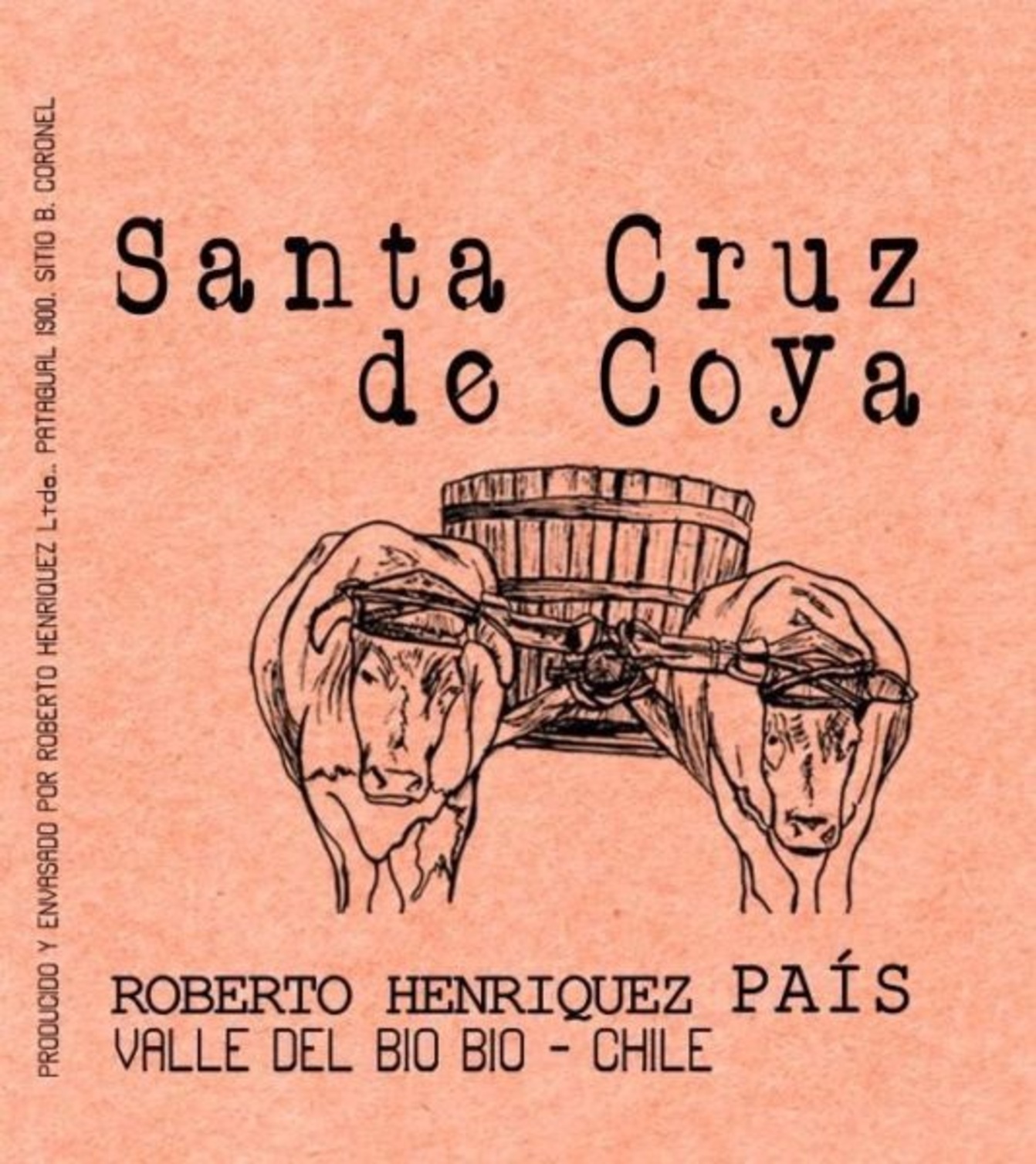 Santa Cruz De Coya RAW WINE