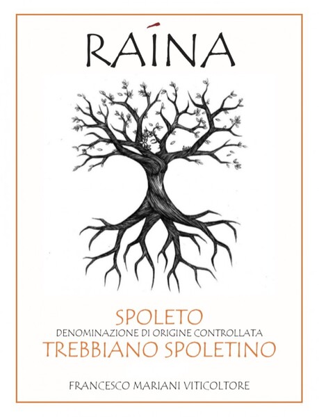 plp_product_/wine/raina-trebbiano-spoletino-doc-2018