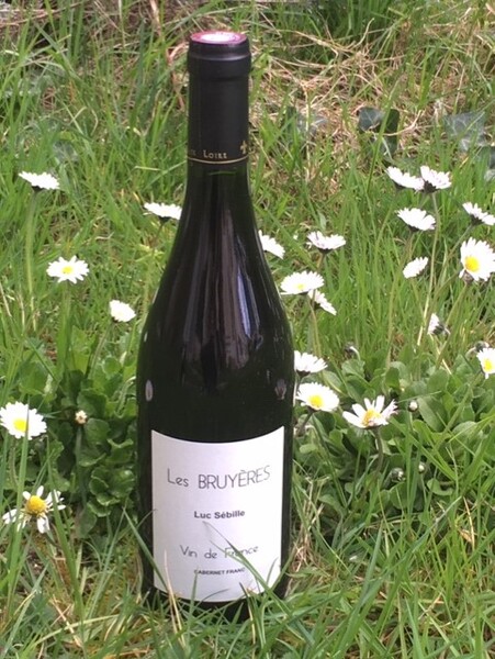 plp_product_/wine/domaine-carroi-bon-air-les-bruyeres-2019