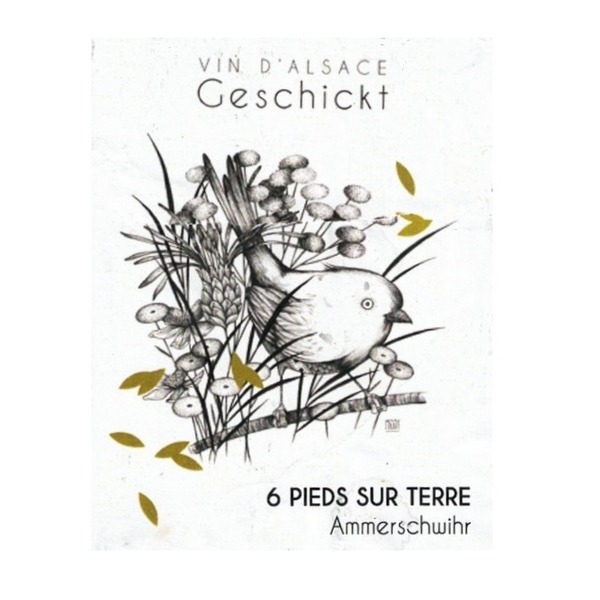 plp_product_/wine/domaine-geschickt-6-pieds-sur-terre-2017