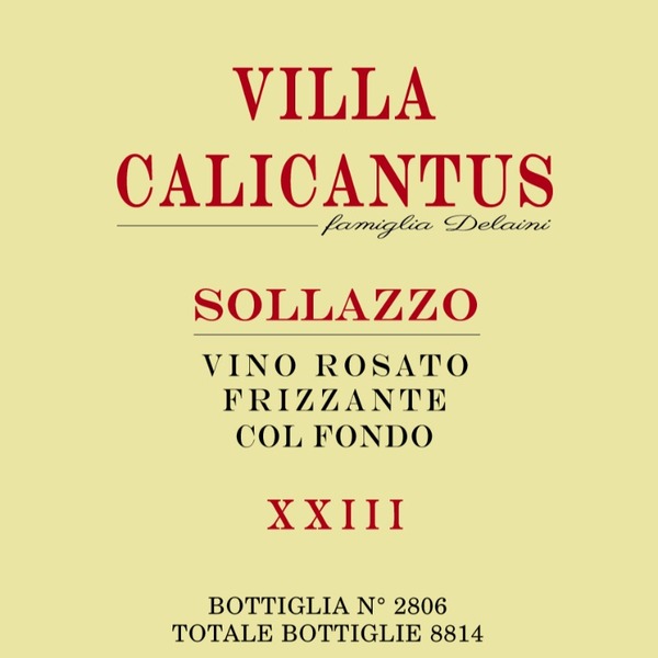 plp_product_/wine/villa-calicantus-sollazzo-2022