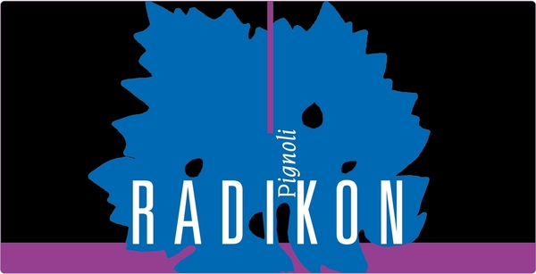 plp_product_/wine/radikon-pignoli-2010