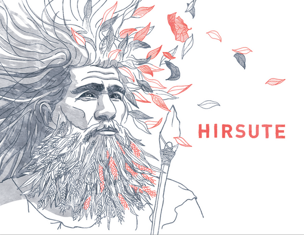 plp_product_/wine/les-equilibristes-hirsute-rouge-2022