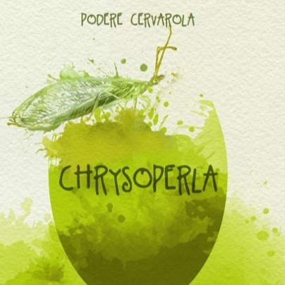 plp_product_/wine/podere-cervarola-chrysoperla-2022