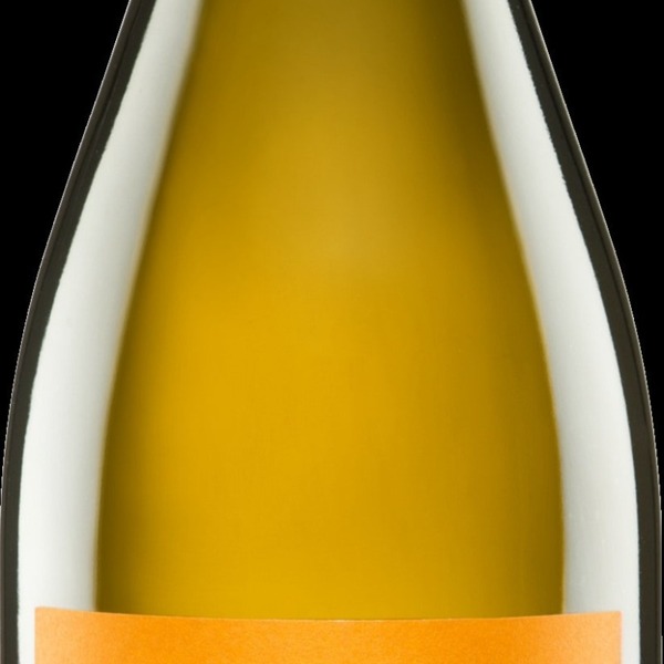 plp_product_/wine/weingut-judith-beck-chardonnay-2022