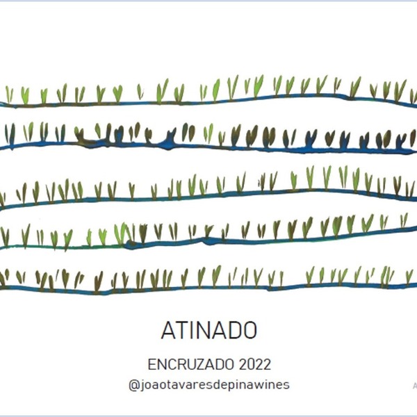 plp_product_/wine/joao-tavares-de-pina-wines-atinado-torre-de-tavares-encruzado-2022